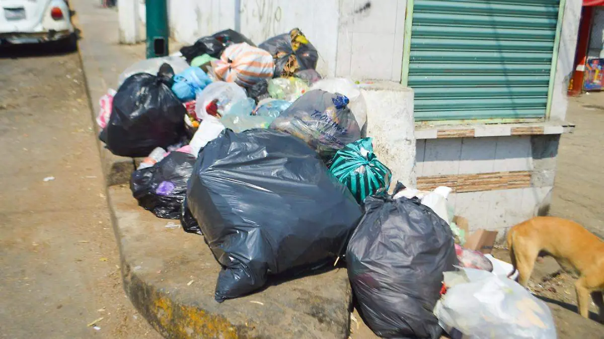 basura en las calles de acapulco 1